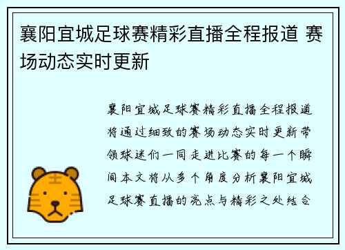 襄阳宜城足球赛精彩直播全程报道 赛场动态实时更新